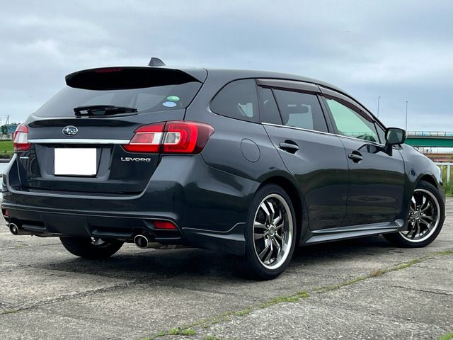 LEVORG