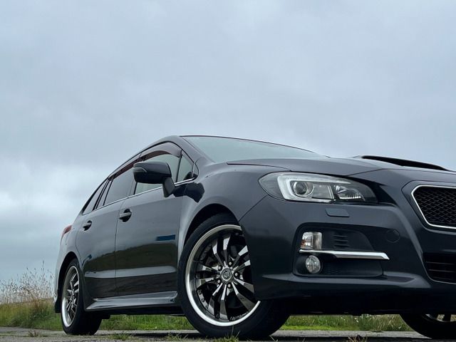 LEVORG