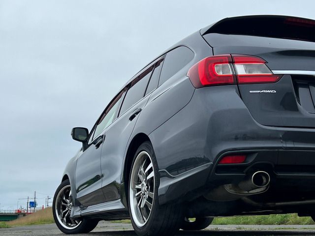 LEVORG