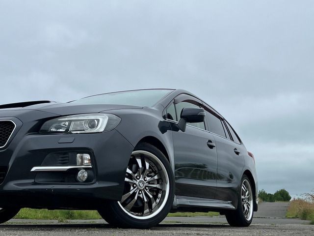 LEVORG