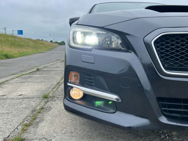 LEVORG