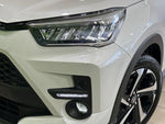 RAIZE HYBRID