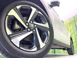 RAIZE HYBRID