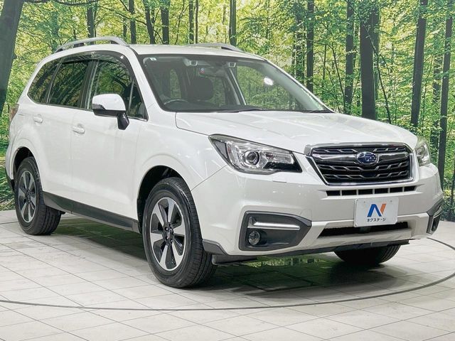 FORESTER