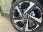 RAIZE HYBRID