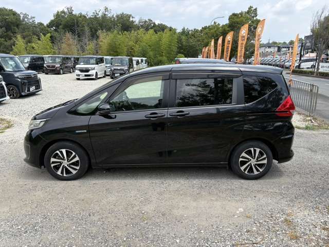 FREED plus HYBRID