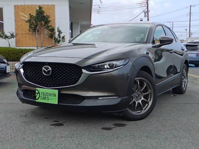 CX-30