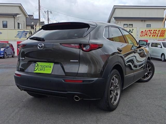 CX-30
