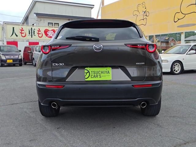 CX-30