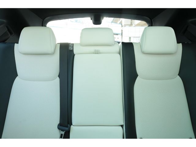 LEXUS NX350h