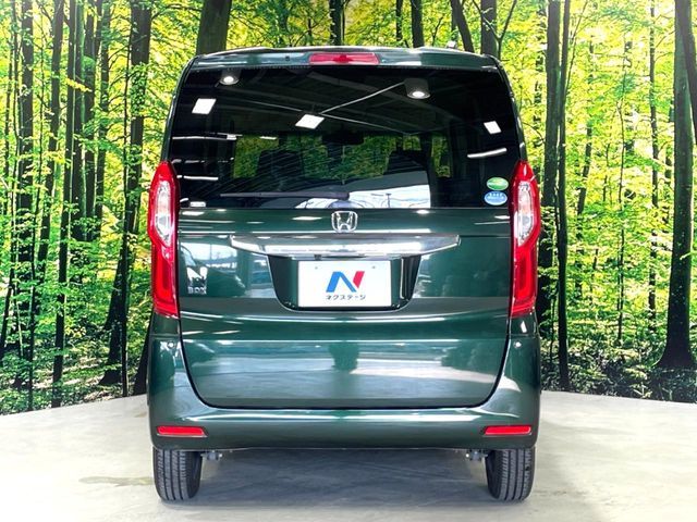 N BOX