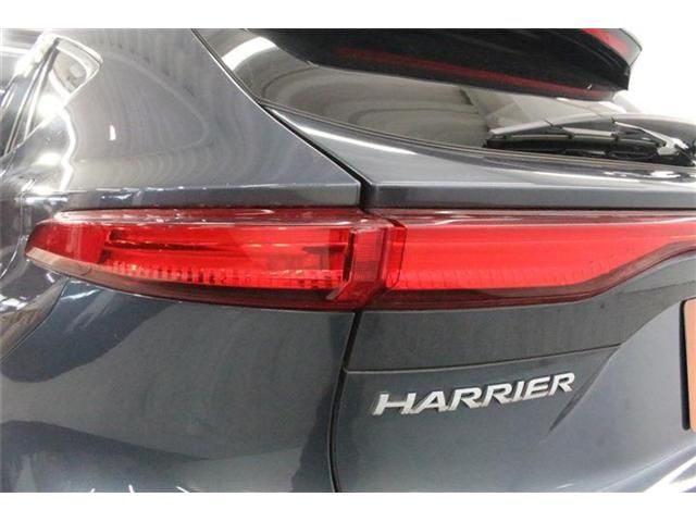HARRIER HYBRID