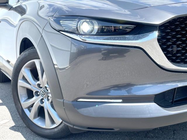 CX-30