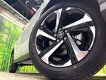RAIZE HYBRID
