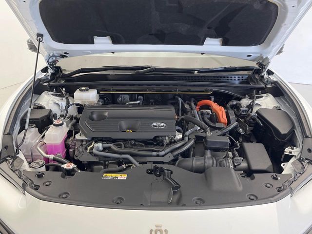 CROWN SPORT