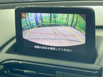 ROADSTER RF