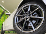 ROADSTER RF