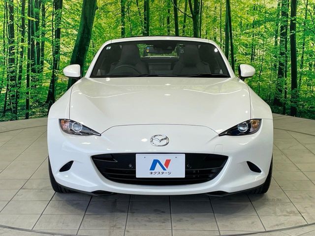 ROADSTER RF