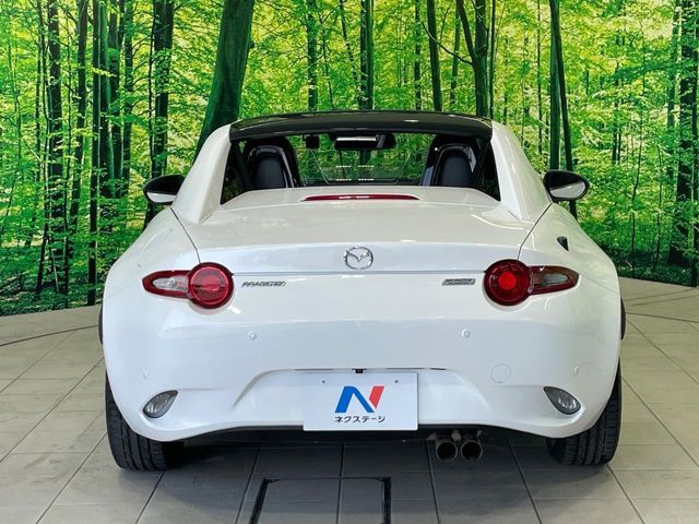 ROADSTER RF