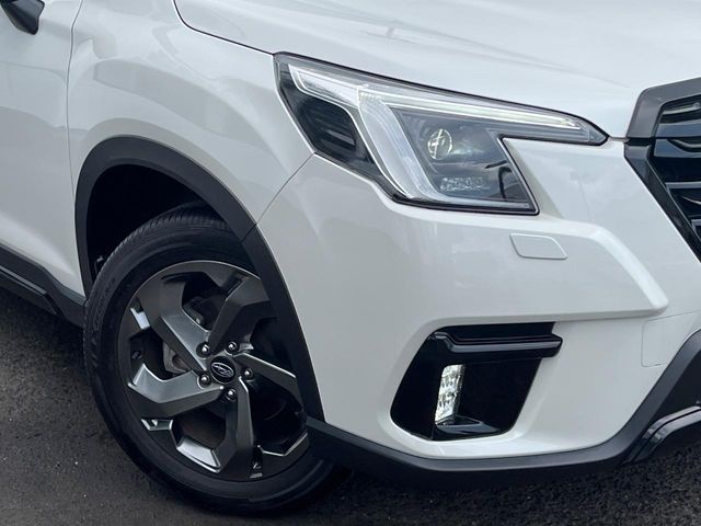 FORESTER