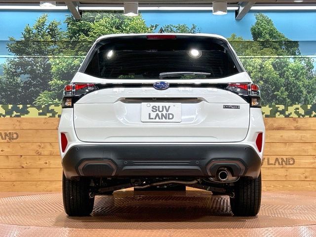 FORESTER