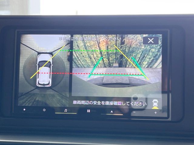 RAIZE HYBRID