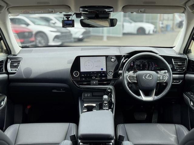 LEXUS NX250