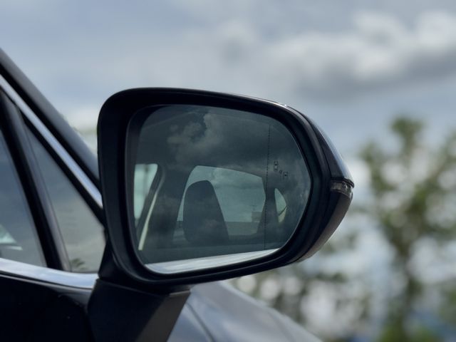 LEXUS NX250