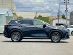LEXUS NX250