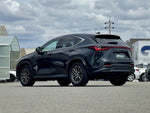 LEXUS NX250