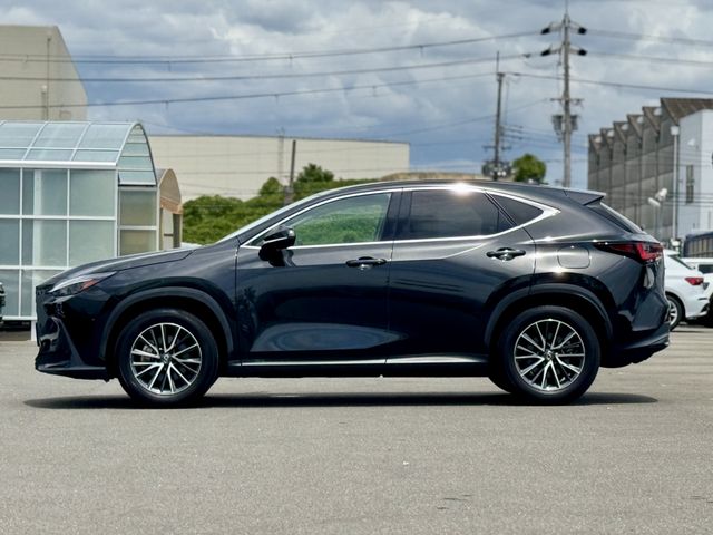 LEXUS NX250