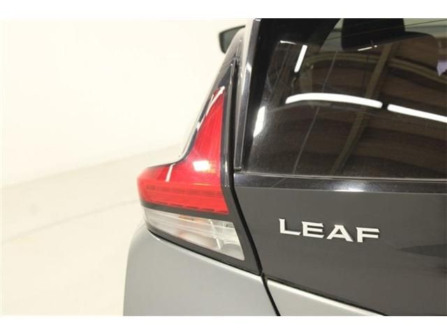 LEAF