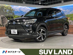 RAIZE HYBRID