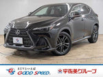 LEXUS NX450h+ AWD