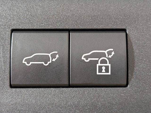 LEXUS NX450h+ AWD