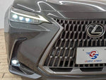 LEXUS NX450h+ AWD