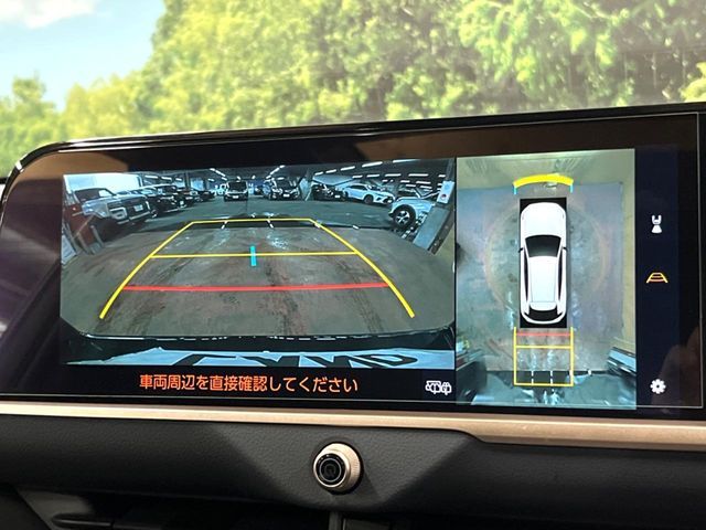 CROWN SPORT