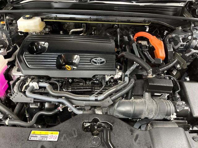 CROWN SPORT