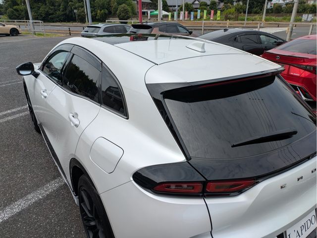 CROWN SPORT