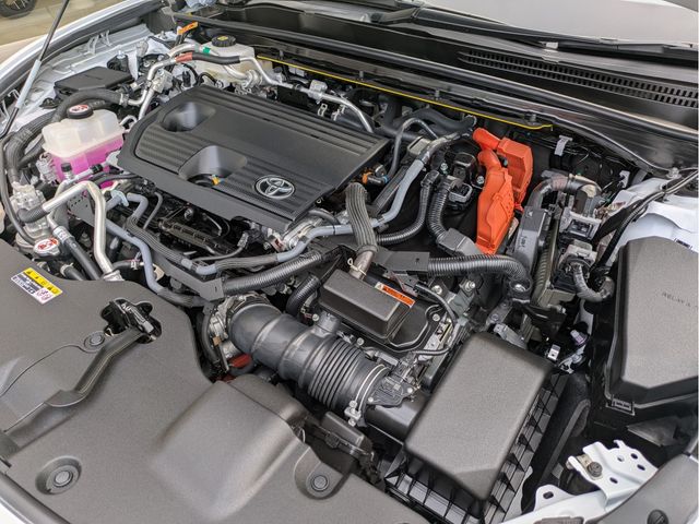 CROWN SPORT