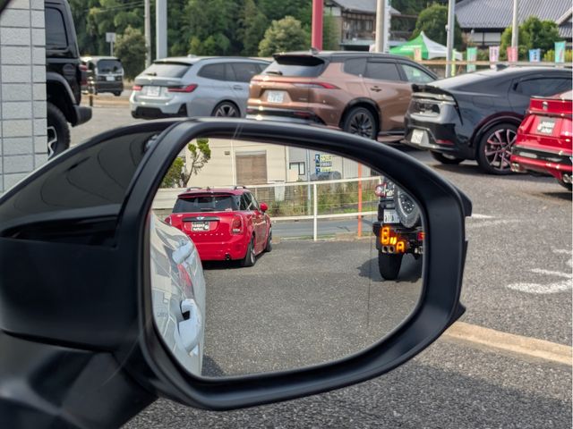 CROWN SPORT