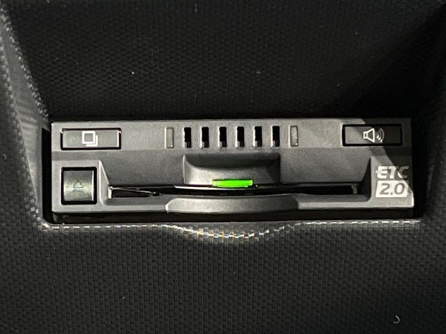 RAIZE HYBRID
