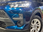 RAIZE HYBRID
