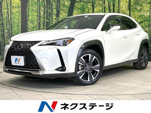 LEXUS UX250h AWD