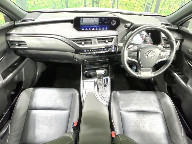 LEXUS UX250h AWD