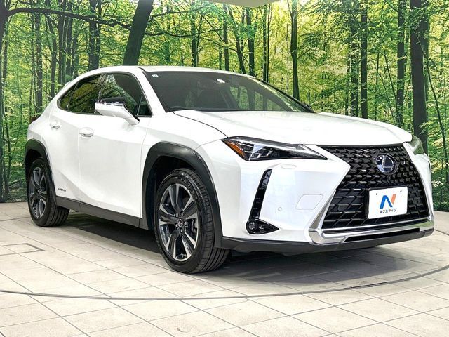 LEXUS UX250h AWD