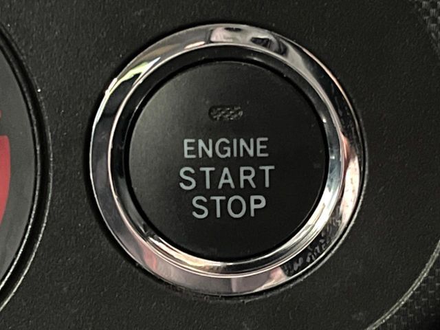RAIZE