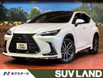 LEXUS NX250