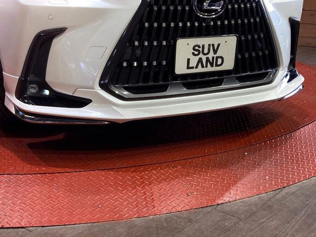 LEXUS NX250