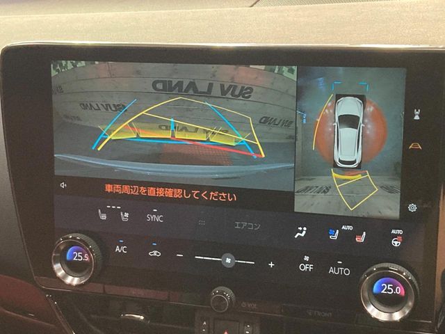 LEXUS NX250